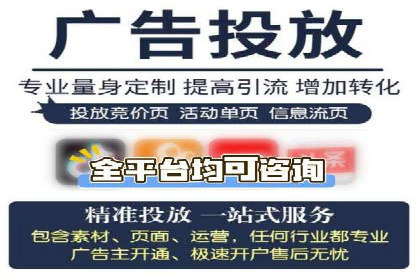 竞价代运营成功案例解析